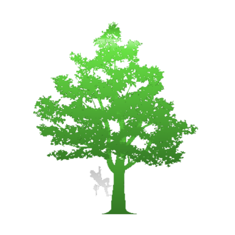 How High Tree Service Logo